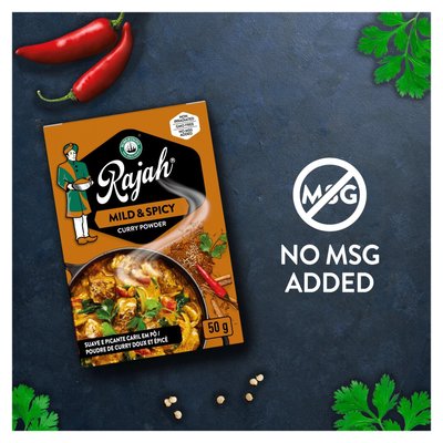 Robertsons Rajah Mild & Spicy Curry Powder 50g