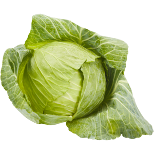 Medium Loose Cabbage