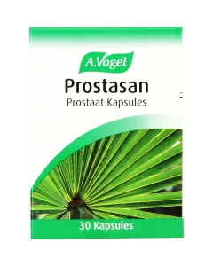 Dashing Blunt Tip Stainless Steel Scissors (Colour May Vary)