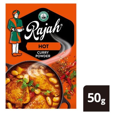 Robertsons Rajah Hot Curry Powder 50g