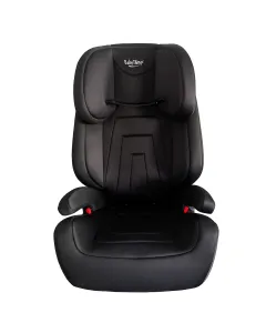 Baby Things Booster Seat