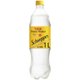 Schweppes Tonic Water 1 L