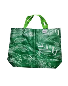 Dis-Chem Shopping Bag Green 52x38x14cm