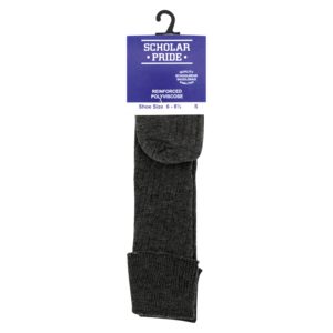 Scholar Pride Boys Small Grey Polyviscose Socks