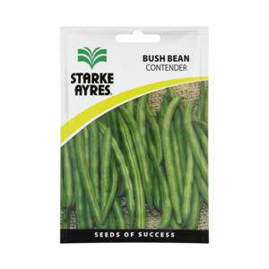Starke Ayres Contender Bush Bean Seeds