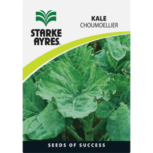 Starke Ayres Kale Variety Vegetable Seeds