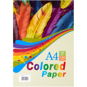 A4 Multicoloured Copy Paper 100 Sheets