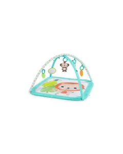 Bs Safari Blast Activity Gym